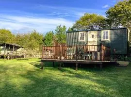 Lilly's Pad