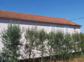 Apartments Tomas