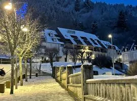 Appartements bien situés avec terrasse