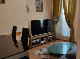 Appartement spacieux avec une belle vue sur le Tribunal de Paris