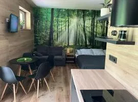Apartmán Vrbno pod Pradědem