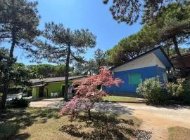 Ville Nelson Ninoska