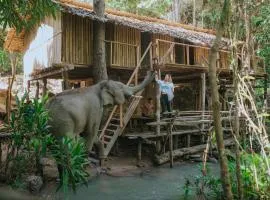 Temple of Elephants