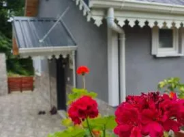 Cennet bahçesi