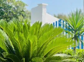 Casa Loca del mar