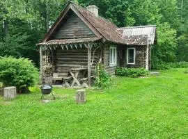 Tiny Cozy House