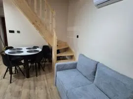Apartament Exclusive Premium Sielpia w Sielpi Wielkiej z jacuzzi na życzenie