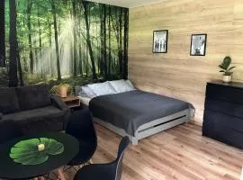 Apartmán Vrbno pod Pradědem