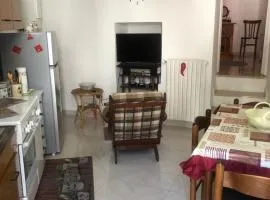 Lucy Home