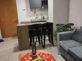 Excelente departamento en Santiago