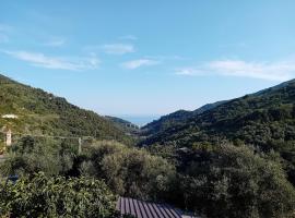 La casetta dei 4 gatti