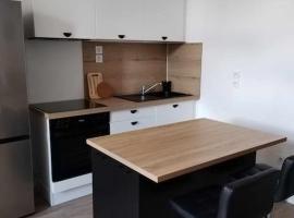 Large 40m2 Prox Lille-métro-tram