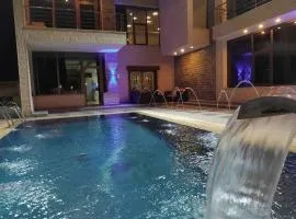 فيلا وشاليه فيينا