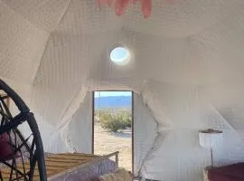 Geodesic Dome for Glamping