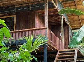 Ecohotel Iraka Cabañas Privadas en Selva y Playa