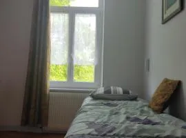Chez Yoda