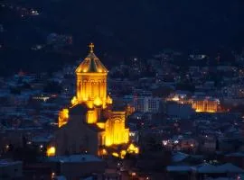 Book wine tasting over Tbilisi