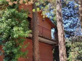 Hotel Toni Llogora