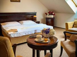 Hotel U Zeleneho stromu, hotel dengan jakuzi di Nepomuk