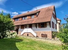 Appartement Lino - base idéale pour explorer l'Alsace, emplacement privilégié entre vignes et Vosges