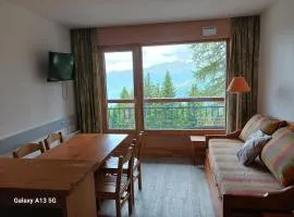 2 pièces pour 5 pers, piscine, animaux admis, parking, proche télécabine - FR-1-411-320