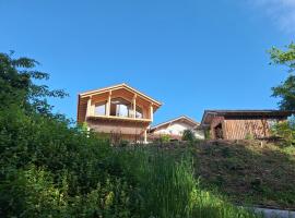 ÜbermAlztal Chalet Alzblick Ferienwohnung, hotel di Altenmarkt an der Alz