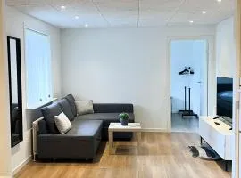 Lovely Billund Apartment by KIRIJA