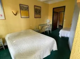 Hotel Vidal