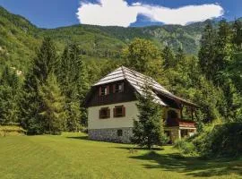 Chalet Primus Near Soča Gorge - Happy Rentals