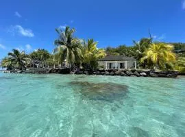 PARADISE