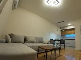 Apartments Eagle, close to center Podgorica, free parking, available transport