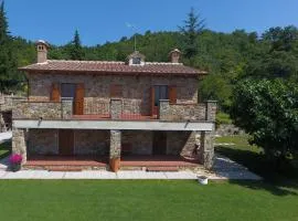IVO house