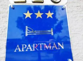 Apartman Mitnica