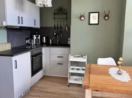 Ferienwohnung Erzgebirgsnest