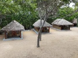Peanut Farm Surf and Wild Resort - Arugambay