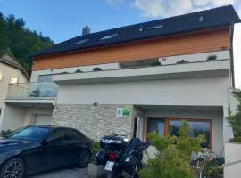 Apartments Domovoj