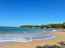 Tibo bas de villa accès 4 plages à Deshaies