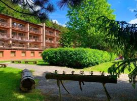 Horský Hotel Podjavorník, hotel v destinácii Papradno
