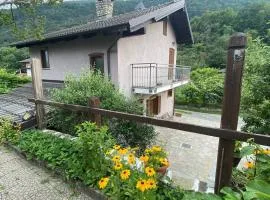 La casa nel bosco