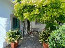Casa Martim
