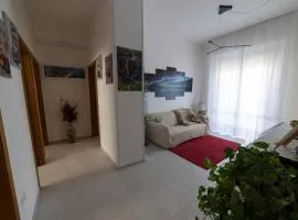 Aussiehome