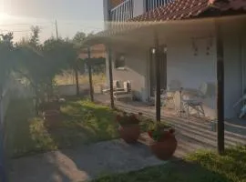 Irida