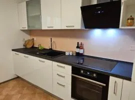 Apartma na vinski kmetiji