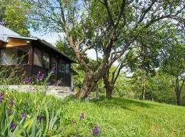 Casa din sat