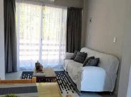 Departamento céntrico e independiente