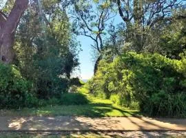 On Collingwood Beach - Downstairs Apartment - 50m from the beach
