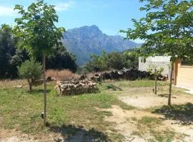 maison de vacances olmi cappella Corse