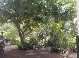 Villa Kosgoda
