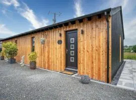 The Shed - 1 Bedroom - Cosheston