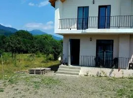 Tsemi vacation home